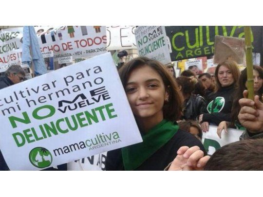 Promulgan la ley del uso medicinal del cannabis