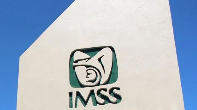 Checa lo que tiene para decir el IMSS.