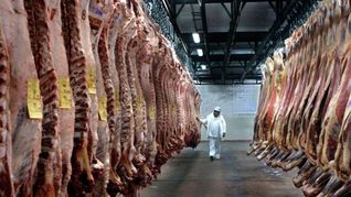 La faena del primer trimestre cayó a su nivel más bajo en seis años, exceptuando el período excepcional de la pandemia en 2020. La faena del primer trimestre cayó a su nivel más bajo en seis años, exceptuando el período excepcional de la pandemia en 2020.