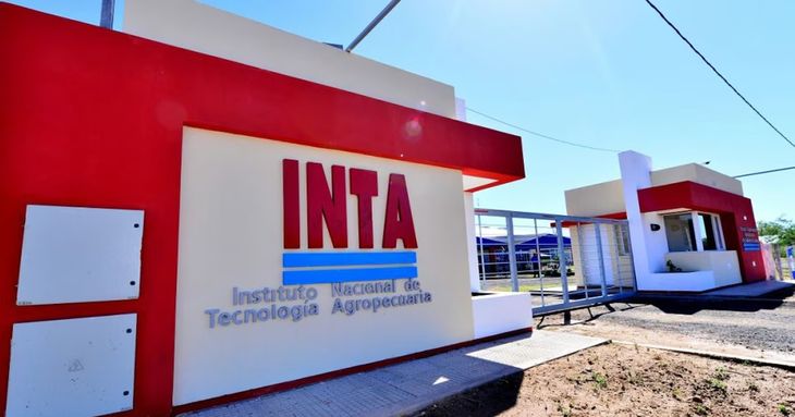 En Cerrillos, Salta, el terreno del INTA estaba destinado a cultivos de soja y maíz. En Cerrillos, Salta, el terreno del INTA estaba destinado a cultivos de soja y maíz.