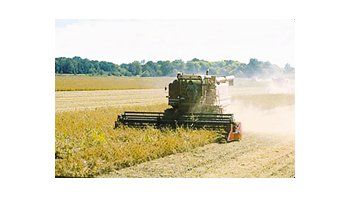 Los ruralistas cosecharon el 86% de los 18,3 millones de hectáreas sembradas con la oleaginosa 2009/10.