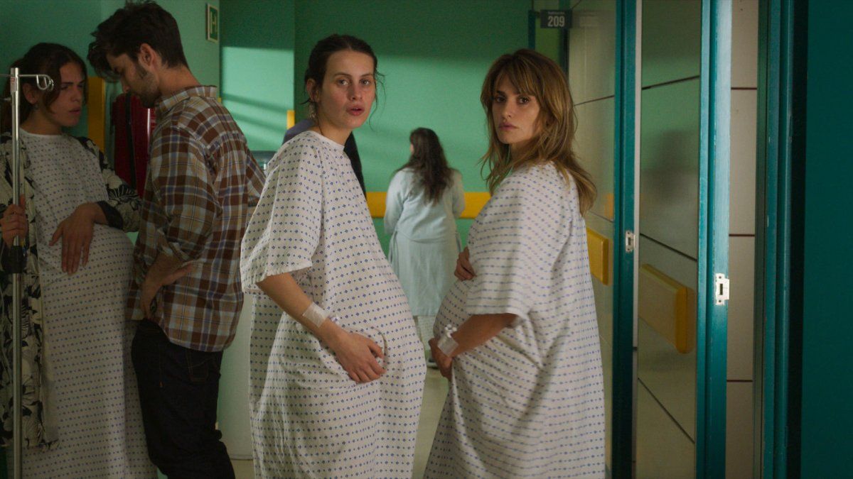 Todas las películas y series que llegan a Netflix en febrero