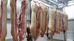 During last year around 8 million head were slaughtered. During last year around 8 million head were slaughtered.