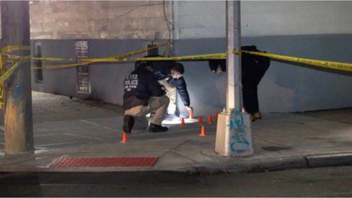 Shooting in New York outside a nightclub left at least 11 injured