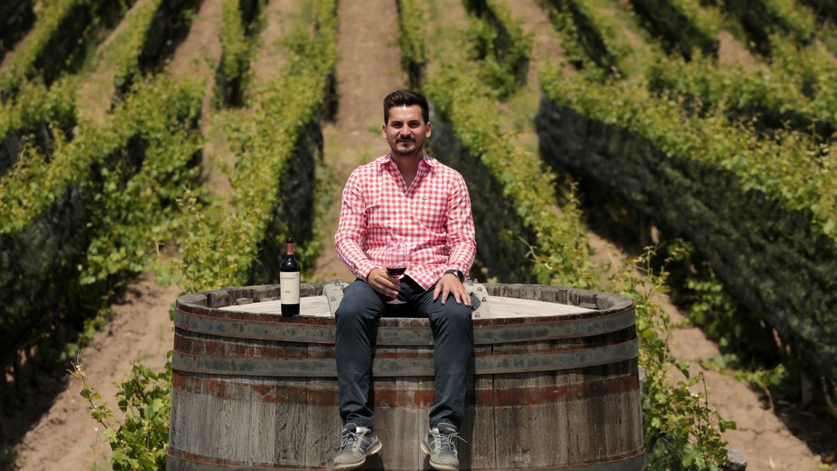How high -end wine is built: Domaine Bousquet winemaker’s secrets
