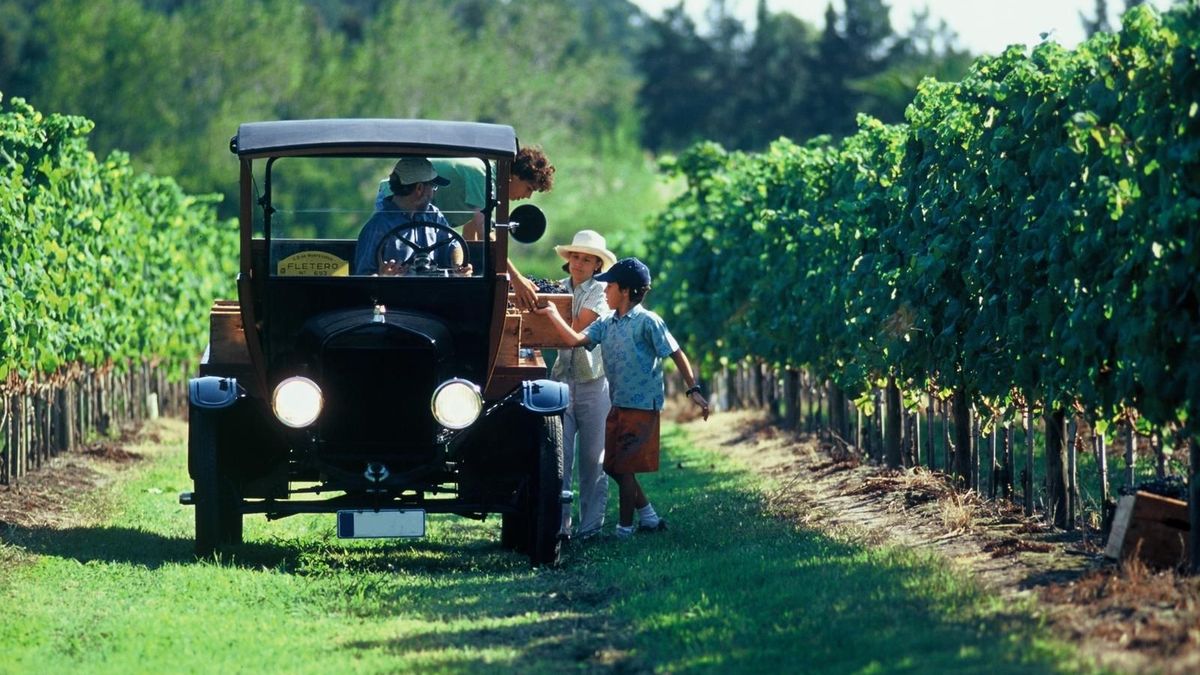 How is sustainability applied in tourism?