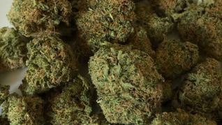 Aduana detectó drogas en equipajes y vehículos durante operativos en Ezeiza y Misiones.