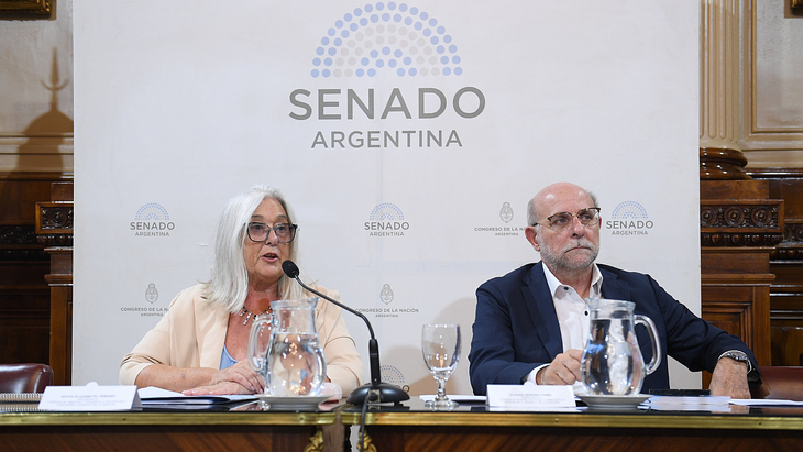 Edith Terenzi (Despierta Chubut) y Flavio Fama (UCR) presidieron la reuni&oacute;n del plenario de comisiones de Ambiente y Miner&iacute;a.&nbsp;