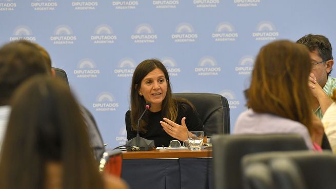 La titular del Anses, Fernanda Raverta, en la reunión de la comisión de Previsión y Seguridad Social de Diputados.&nbsp;
