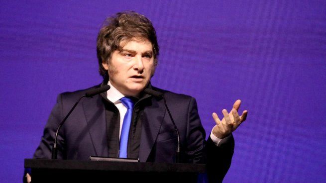 El presidente Javier Milei cuestionó indirectamente la media sanción.