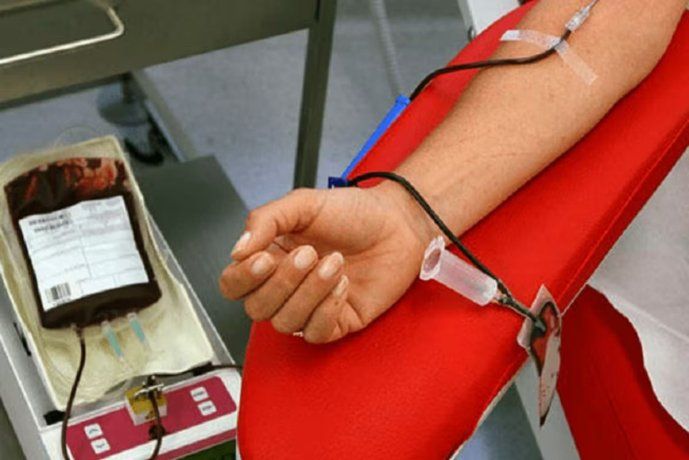 Los Testigos de Jehová permititán las transfusiones de sangre. Los Testigos de Jehová permititán las transfusiones de sangre.