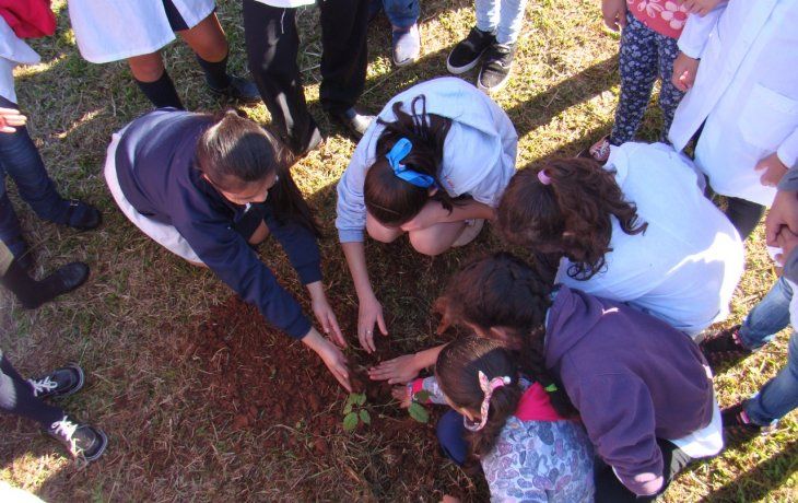 ámbito.com | EDUCACIÓN AMBIENTAL.jpeg