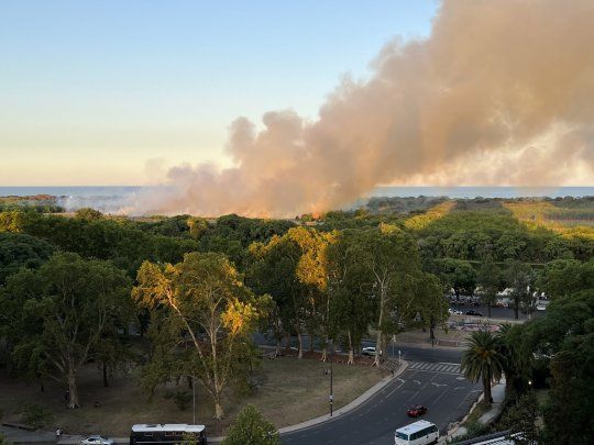Se reactivó el incendio en la Reserva Ecológica de la Ciudad de Buenos Aires.