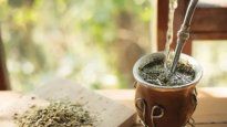 Apenas llegó al poder, el presidente Javier Milei despojó al Instituto Nacional de la Yerba Mate (INYM) de fijar precios mínimos para la hoja verde y la yerba canchada