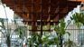 Gastronomic pleasures in Buenos Aires: 6 restaurants to fall in love with sushi Gastronomic pleasures in Buenos Aires: 6 restaurants to fall in love with sushi