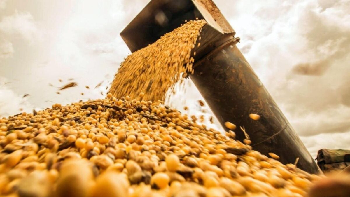 El acuerdo Mercosur-UE podr�a generar m�s de u$s10.000 millones extra por parte del campo