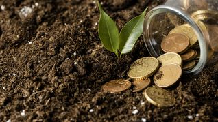 Productores del litoral y centro del país advierten que sembrar una hectárea de trigo o cebada hoy cuesta un 30% más que la zafra pasada, obligando a lograr rindes de 4.500 kilos solo para cubrir los costos fijos. Productores del litoral y centro del país advierten que sembrar una hectárea de trigo o cebada hoy cuesta un 30% más que la zafra pasada, obligando a lograr rindes de 4.500 kilos solo para cubrir los costos fijos.