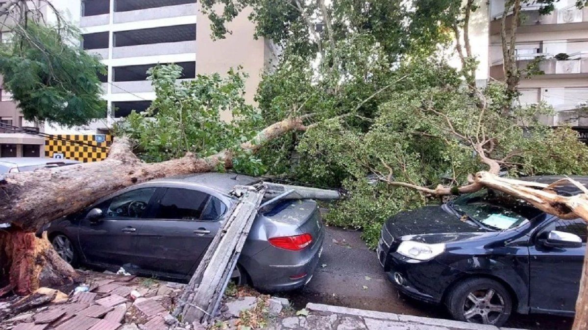 damage, floods and cuts of light