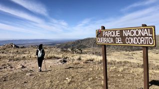 El Parque Nacional Quebrada del Condorito es uno de los grandes protagonistas del rueismo en Córdoba, ideal para caminatas y avistaje de cóndores.
