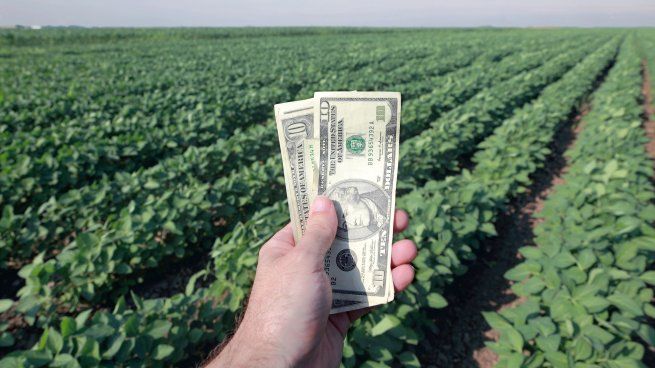 Las exportaciones del agro alcanzaron un récord diario este miércoles.