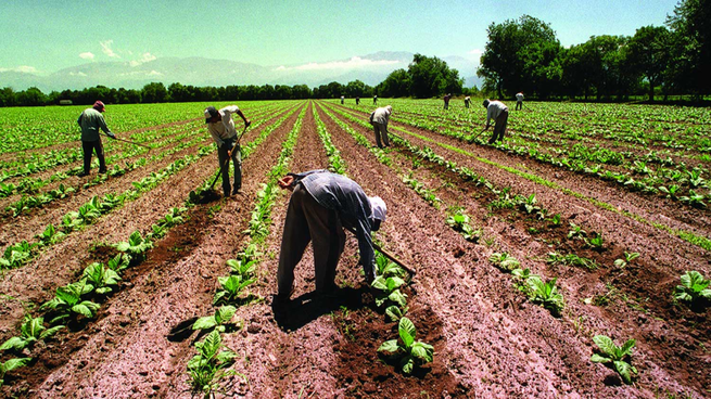 8 de octubre día del trabajador rural.