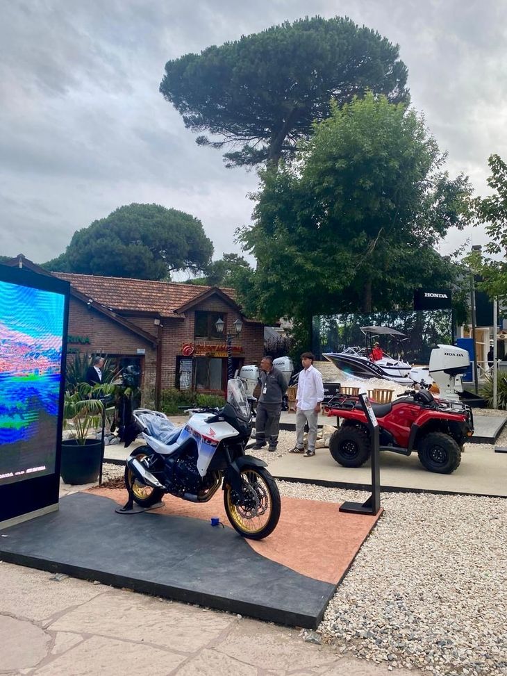 El espacio estará abierto todos los días, de 18 a 24. El espacio estará abierto todos los días, de 18 a 24.