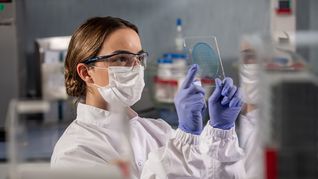 El organismo de control impuso suspensiones a dos laboratorios. El organismo de control impuso suspensiones a dos laboratorios.