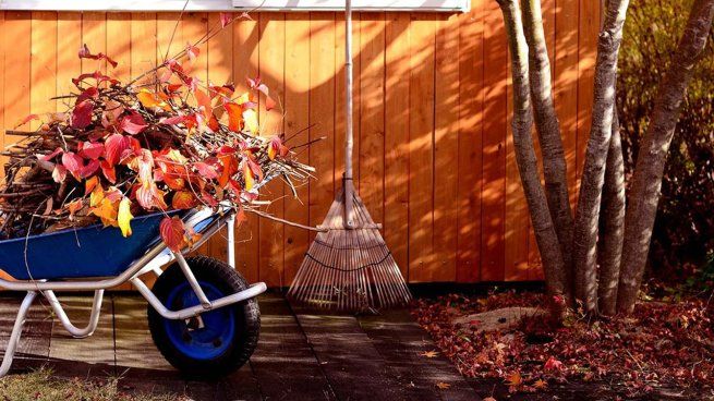 Se viene una época delicada en la jardinería del hogar y te contamos cómo cuidar tus plantas.