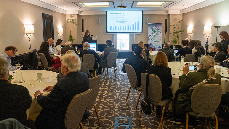 En la presentaci&oacute;n de la ArMinera 2025 y en el marco del D&iacute;a de la Miner&iacute;a, Alejandra Cardona reconoci&oacute; que los "esfuerzos" que han hecho las empresas del sector por sostener las fuentes de trabajo en momentos de precios bajos y par&aacute;lisis de obra p&uacute;blica.