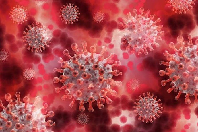 La crisis sanitaria dejó secuelas invisibles en la estructura del cerebro.