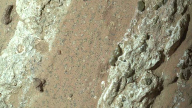 Se trata de un análisis sobre una roca muestreada por el rover Perseverance en Marte el año pasado. 