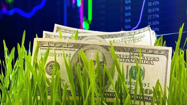 Sin embargo, el éxito de esta medida dependerá de la capacidad del gobierno para mantener la credibilidad fiscal y evitar que las expectativas de devaluación dominen el comportamiento del mercado.