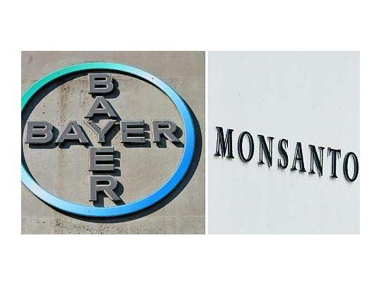 Acciones de Bayer cayeron casi 11% por fallo millonario contra Monsanto