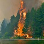 Los incendios en Chubut continúan activos y ya arrasaron con más de 13 mil hectáreas. Los incendios en Chubut continúan activos y ya arrasaron con más de 13 mil hectáreas.