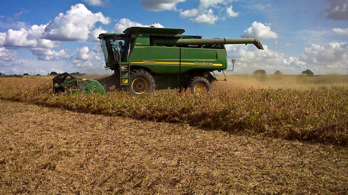 1.4 million hectares of soybeans were harvested in the core zone 1.4 million hectares of soybeans were harvested in the core zone
