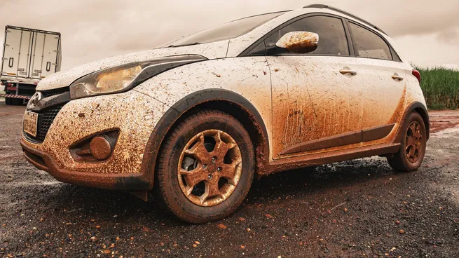 Un auto descuidado puede revelar rasgos de personalidad y estados emocionales.