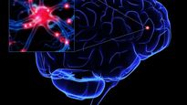 Cerebro e idioma.&nbsp;