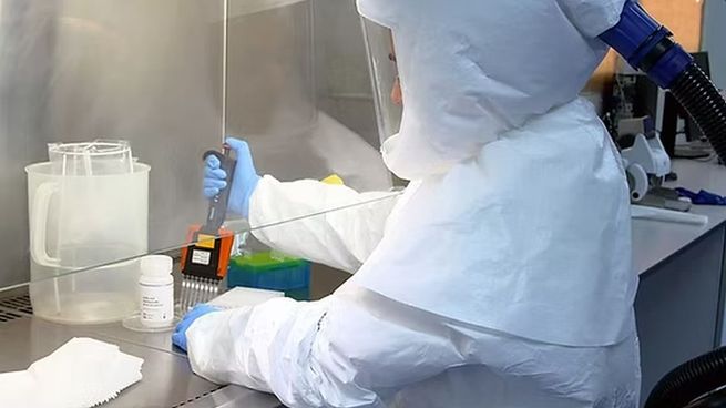 El organismo dependiente de Salud informó la identificación de tres casos de H3N2 en Argentina.&nbsp;