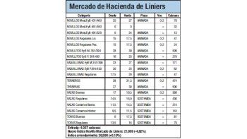 Índice Novillo cayó un 4,8% en Liniers