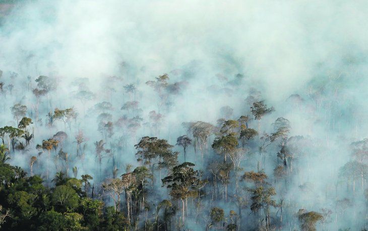 La Amazonia sufrió la mayor  deforestación en una década