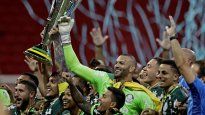 Palmeiras fue el gran protagonista laño pasado, coronándose como nuevo campeón del Brasileirao.&nbsp;