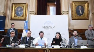 Senado avanzó con dictámenes para la reforma previsional.