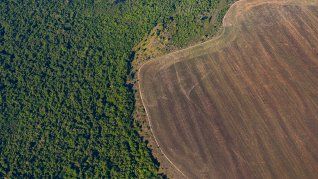 En 2021, Brasil perdió casi 2 millones de hectáreas de vegetación nativa por deforestación.