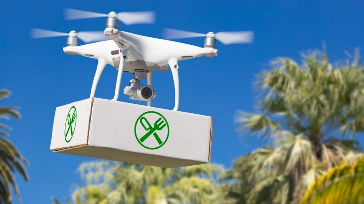 Israel to launch drones that will deliver food and medicine
