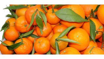 También evalúan regalar naranjas y mandarinas en Plaza de Mayo
