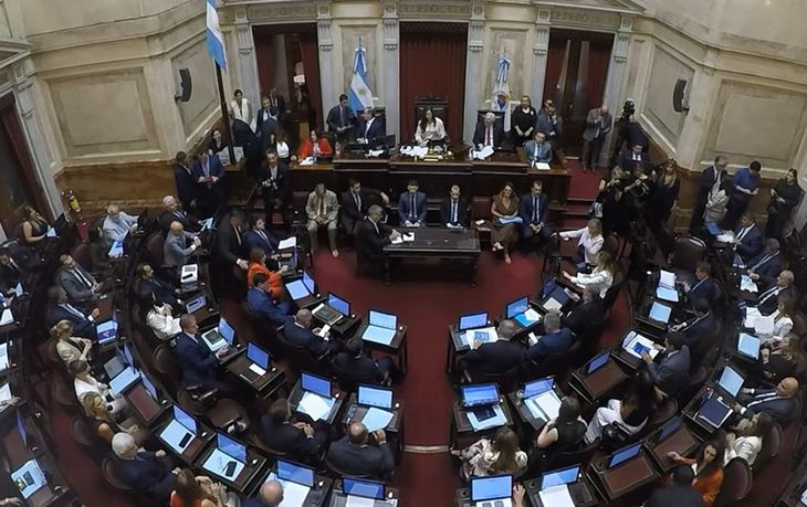 La administración Milei respaldó la reforma y aseguró que el eje de la iniciativa es fortalecer el orden público y la protección de las víctimas.