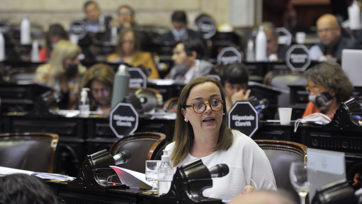 Javier Milei pone a prueba a los aliados: ¿vuelven a votar en contra de sí mismos con la ley de Etiquetado?