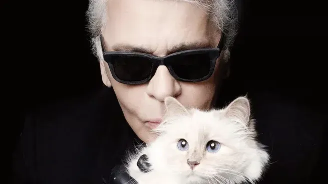 La gata vive una vida de lujo, tal y como su amado dueño quería.