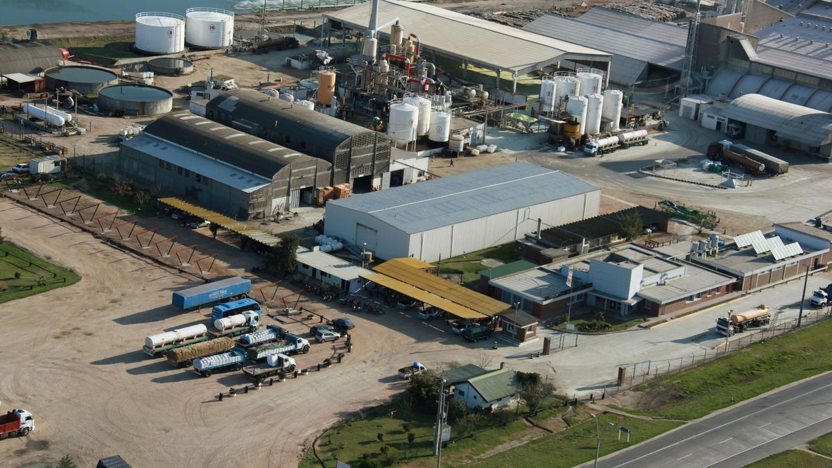 Isusa launches Negotiable Obligations for up to US$ 5 million
