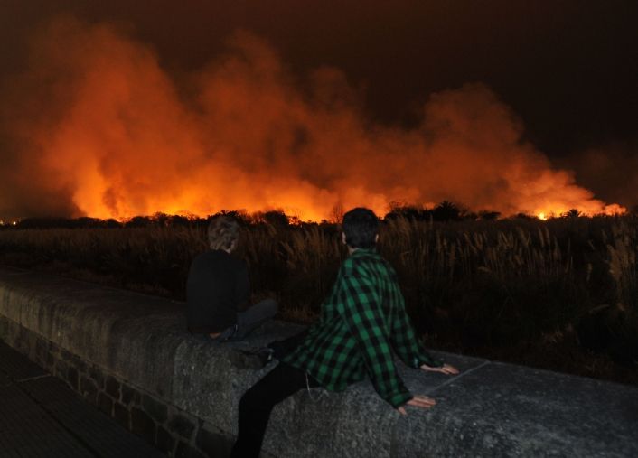Un voraz incendio afectó a la Reserva Ecológica (foto 1)